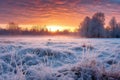 winter sunrise over a snow-blanketed meadow