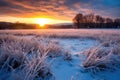 winter sunrise over a snow-blanketed meadow