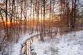 Winter sunrise scene Royalty Free Stock Photo