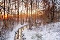 Winter sunrise scene