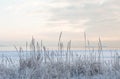 Winter sunset by the beach, icy sea