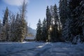 Winter sunset in forest - panoramic view. A fabulous winter - snow-covered trees, sun rays and blue sky Landscape nature in Canada Royalty Free Stock Photo