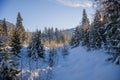 Winter sunset in forest - panoramic view. A fabulous winter - snow-covered trees, sun rays and blue sky Landscape nature in Canada Royalty Free Stock Photo