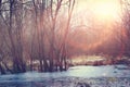 Winter sunset on the marsh Royalty Free Stock Photo