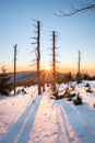 Winter sunset at the mountain slope with dead trees and lots of snow. Remote natural reserve Smrk in Beskid mountains