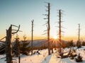 Winter sunset at the mountain slope with dead trees and lots of snow. Remote natural reserve Smrk in Beskid mountains