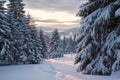 Winter sunset over the forested mountain valley Royalty Free Stock Photo