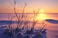 Winter sunset over frozen lake Royalty Free Stock Photo