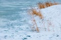 Winter sunset over frozen pond . High grass covered with snow. Royalty Free Stock Photo