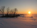 Winter sunset Royalty Free Stock Photo