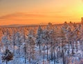 Winter sunset taiga Royalty Free Stock Photo