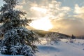 Winter Sunset Royalty Free Stock Photo