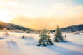Winter Sunset Royalty Free Stock Photo