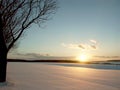 Winter sunset with tree on the field Royalty Free Stock Photo