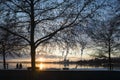 Winter sunset in Vasteras, Sweden. Couple enjoying view of low winter sun reflecting in Malaren lake, bare tree branches