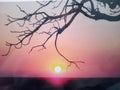 Winter sunset W.A. dead tree Royalty Free Stock Photo