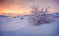 Winter Sunset at ÃÅ¾ingvellir Thingvellir National Park, Iceland