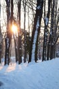 Winter sunshine Royalty Free Stock Photo