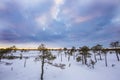 Winter in Swamp Of ÃÂ¶emeri Royalty Free Stock Photo