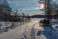Winter in Sweden landscape Royalty Free Stock Photo