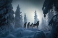 Winter Symphony Snowy Forest with a Pack of Wolves Singing to the Northern Lights