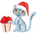 Winter tabby cat with a gift