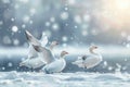 Winter tableau Snow geese on a snow covered background with space Royalty Free Stock Photo