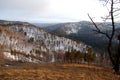 Winter taiga. Sayan. Royalty Free Stock Photo