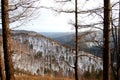 Winter taiga. Sayan. Royalty Free Stock Photo