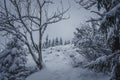 Winter in Tatra Mountains Royalty Free Stock Photo