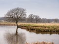 Winter at Tatton Park Royalty Free Stock Photo