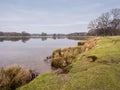Winter at Tatton Park Royalty Free Stock Photo