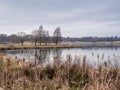 Winter at Tatton Park Royalty Free Stock Photo