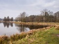 Winter at Tatton Park Royalty Free Stock Photo