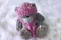 Winter teddy bear in snow