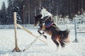 Winter jump horse ride jumping Royalty Free Stock Photo