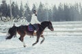 Winter Jump Horse Ride Jumping