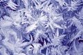 Winter texture of frost on the glass window as a background Royalty Free Stock Photo