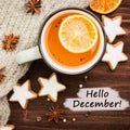 Winter theme. Hot tea with spices,orange,cinnamon,anise,cookies