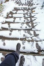 In winter there is a danger of slipping on a snow-covered staircase Royalty Free Stock Photo