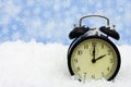 Winter Time Royalty Free Stock Photo