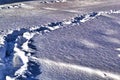Winter time : Footsteps in the snow Royalty Free Stock Photo