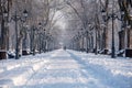 Winter time landscape in the park , Bucharest , Romania