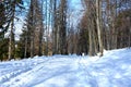 Winter time. Landscape in Poiana Brasov and Salomon stones. Road to the winter station. Royalty Free Stock Photo