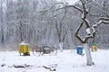 Winter time in old rural garden