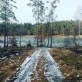 Winter time in woods by the lake Royalty Free Stock Photo