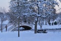 Winter in Tineretului Park, Romania