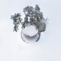 Winter tiny planet in snow covered pinery forest near lake with transformation of spherical panorama 360 degrees in abstract Royalty Free Stock Photo