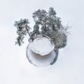 Winter tiny planet in snow covered pinery forest near lake with transformation of spherical panorama 360 degrees in abstract Royalty Free Stock Photo