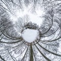 Winter tiny planet in snow covered pinery forest with transformation of spherical panorama 360 degrees in abstract aerial view in Royalty Free Stock Photo